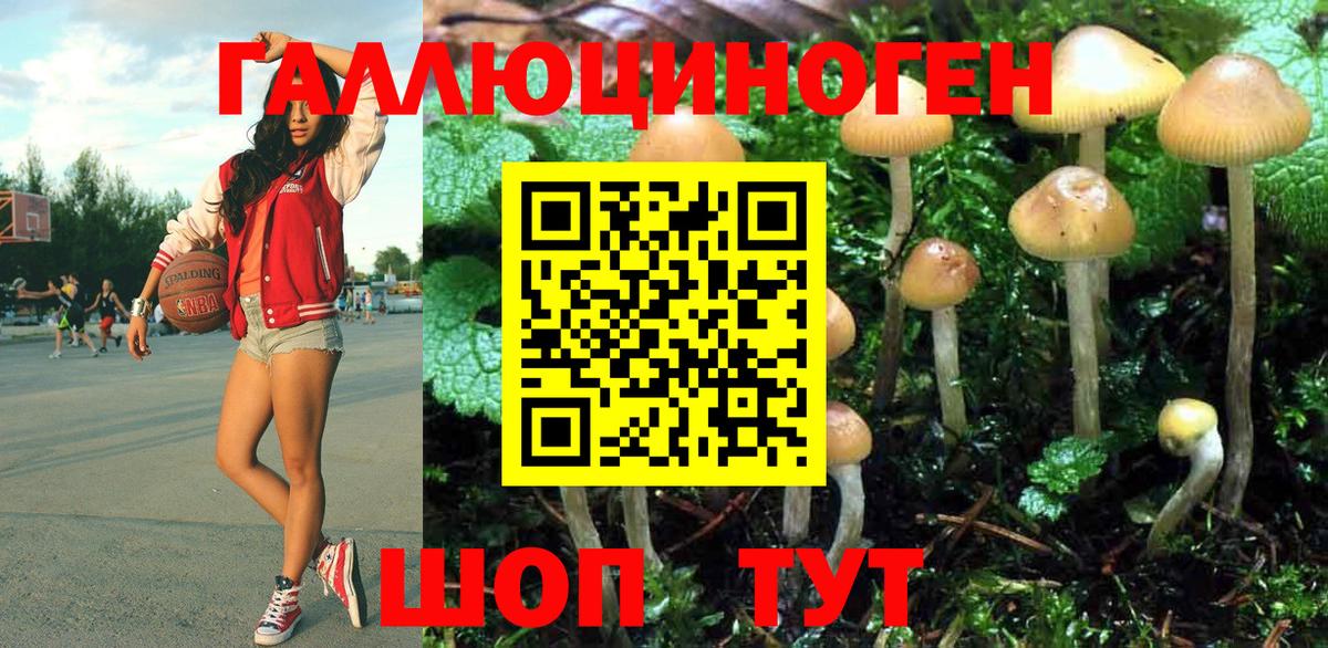 Псилоцибиновые грибы мицелий Новороссийск
